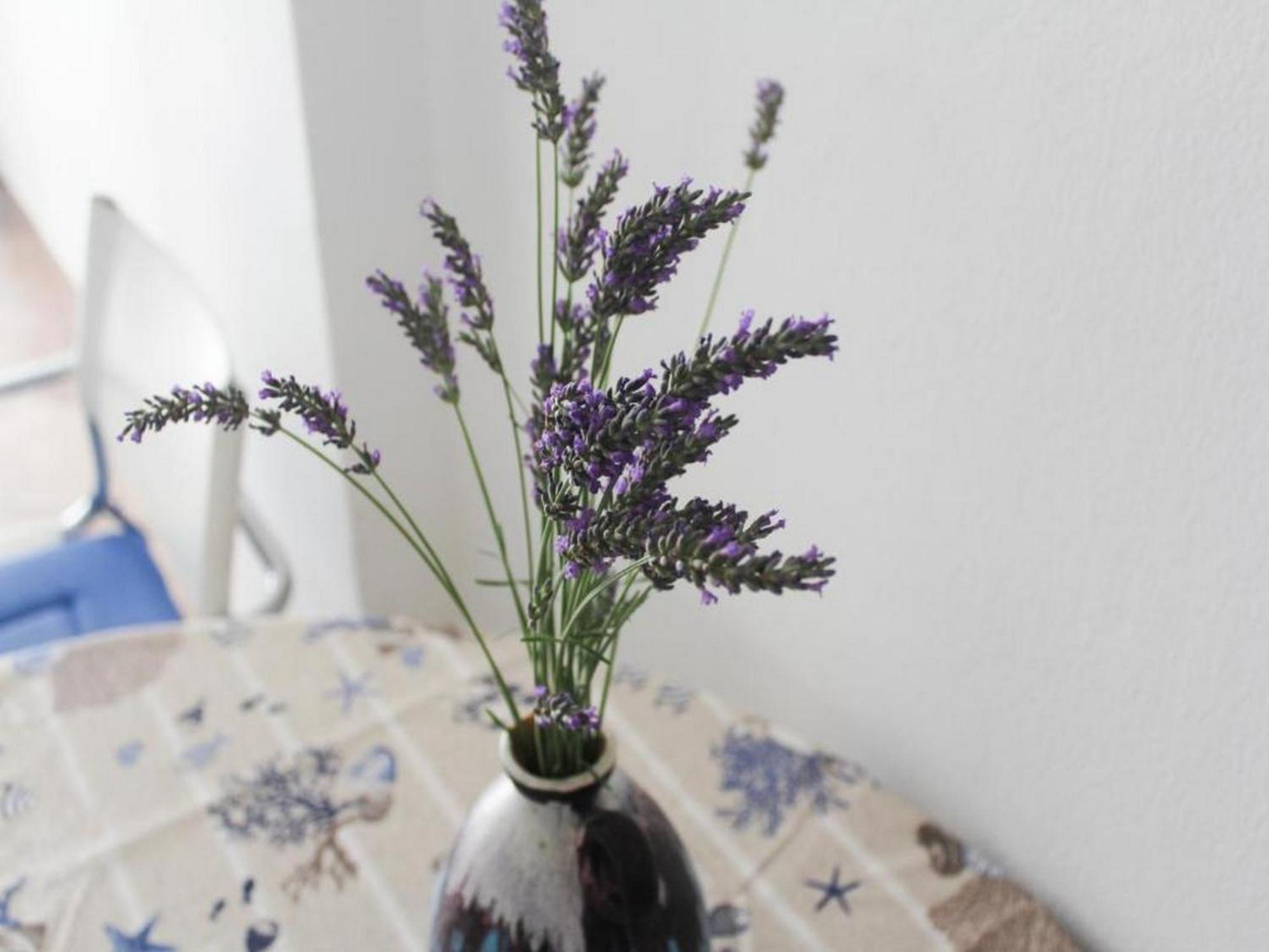 Apartmani Lucia Biograd Biograd Na Moru Værelse billede